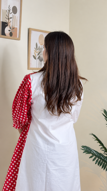 Red Gingham & White Colour-Block Shirt Dress